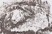 SOHL, WILL, 1906 LUDWIGSHAFEN-1969 HEIDELBERG, SYLT, FOLGE AUS 17 LITHOGRAPHIEN, ALLE HANDSIGNIERT, ZWEI BLATT NUM. 9/30 BZW. 17/30, AUF ...