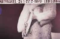 BEUYS, JOSEPH, TABERNAKEL, FARBOFFSET, LOUISIANA MUSEUM DäNEMARK 1973, HANDSIGN., 3-FACH GESTEMPELT, CA. 85 X 62 CM, GL., R.