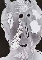 Andre Villers und Pablo Picasso, Torbi, Pochoir, aus: Decoupages et Photogra- phies, Berggruen Paris 1962, ca. 40 x 30 cm