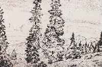 Müllers. Rudi, Im Wetterstein-Gebirge, Radierung, handsign. und betitelt, ca. 19,5 x 24,5 cm, PP, u.Gl., R.