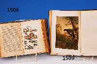 F. Martins Naturgeschichte für die Jugend bei-derlei Geschlechts, 7. Auflage, Stuttgart 1872, mit 300 kolorierten Abbildungen und 20 ...