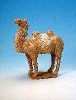 TONFIGUR, CHINA, TANG-DYNASTIE, UM 600-700 N. CHR., DARSTELLUNG EINES KAMELS, AUS- DRUCKSVOLLES GESICHT MIT GERITZTER MäHNE, SOCKEL UND ...