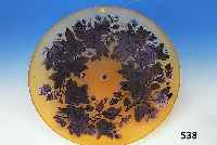 Groáe runde Platte, wohl Arsall, um 1900-10, Schichtglas mit orangegelben Einpuderungen, hell- und dunkelviolett berfangen, geschnit- ten und ...