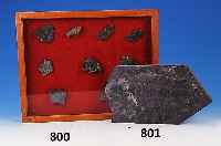 Ausgrabung, Krustentier, ca. 350 Mio Jahre alt, 36 x 21, Schiefer
