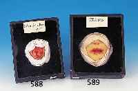Demonstrationsmodell für Herpes, um 1900, Wachsmodell einer unteren Gesichtshälfte unterGlas, Masse ca. 26 x 22 cm, l. Alterssp.