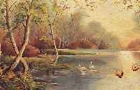 Unbekannter deutscher Maler, um 1900, baumbestandener See mit Schwänen, Öl/Lwd, ca. 22 x 54 cm, reinigungsbedürftig, R.