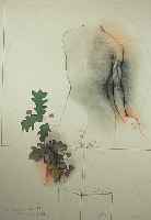 Bruni, Bruno, Die Quadratur des Kreises, Farblithographie von 1985, handsign., bez. e.a., WVZ Nr. 316, ca. 70 x 50 cm