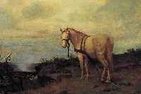 Rasek, Karel, 1861 Prag-1918, Schimmel in weiter Landschaft, Öl/Malkarton, re. u. sign., ca. 53 x 68 cm, R.