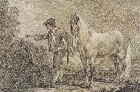 RIDINGER, JOH. ELIAS, 18. JH., SCHWEDISCHES PFERD, KUPFERSTICH, CA. 33 X 51 CM, PP