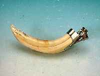 Zigarettenabschneider, um 1900, Flußpferdzahn mit Metallmontur, L.21 cm