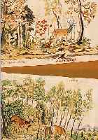 ZUSCHR.: RIDINGER, UM 1730/40, ZWEI SKIZZEN, AQUARELLIERTE TUSCHEZEICHNUNGEN,MAIBOCK IN WALDLANDSCHAFT UND ROTWILD IM WALD, ...