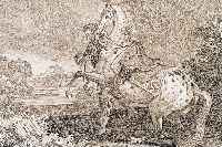 Konvolut von 2 Blatt mit Kupferstichen, v. J. El. Riedinger, Augsburg, ca. 1752, mit prachtvollen Pferdedarstellungen, 1.) Sieben- buerg, sehr ...