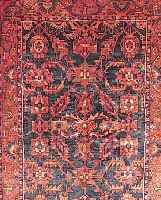 Nahawand, Persien, 206 x 137cm, , EHZ 3 Flor Wolle, ca.40 Jahre