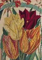 Konvolut von 15 Blatt altkolor. Kupferstiche aus Zeitschrift für Gärtner, Botaniker und Blumenfreunde, Jena 1840, mit farbenprächti-gen ...