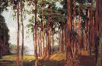 Unbek. Künstler, 1. Hälfte 20.Jh., Kiefern- wald mit See. Öl/Lwd., 50 x 74 cm, R.