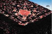 SEIDENTUCH, CHINA, VERMUTLICH 20ER JAHRE, SCHWARZE SEIDE, HANDGESTICKTE ROSAROTE BLUMEN,BREITER HäKELRAND MIT LANGEN SCHWARZEN FRAN- ZEN, OHNE ...