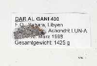 MONDGESTEIN, VON DER RüCKSEITE DES MONDES, CA. 0,55 G., (ACHONDRIT LUN-A), WURDE VOM MAX-PLANCK-INSTITUT MAINZ (REFERENZPROBE DORT) ALSANORTHOSIT ...