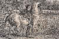 KONVOLUT VON 2 BLATT MIT KUPFERSTICHEN, V. J. EL. RIDINGER, AUGSBURG, CA. 1752, MIT PRACHTVOLLEN PFERDEDARSTELLUNGEN: 1.) EIN TEUTSCHER, ...