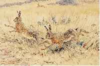 MERITE, EDOUARD-PAUL, *1867 NEUBORUG (ELSASS) - 1941, VIELBEACHTET FRANZöSICHER TIERMALER UND BILDHAUER, SCHüLER VON FREMIET, MOROT UND ...