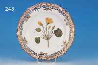 TELLER, ROYAL KOPENHAGEN, FLORA DANICA, ENDE 19. JH., PORZELLAN, D.24.5 CM, VILLASIA NYMPHOIDES L., EIN RANDZACKEN BESTOßEN, ...