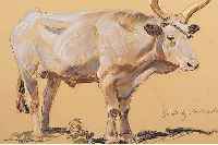 SCHACHT, RUDOLF, *1900 MüNCHEN - 1974 FREI- BURG, HIER: OCHSE, PASTELL, SIGN., 35 X 43 CM, UNTER GLAS GER.