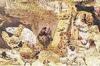 ERBE, ROBERT, *1844 GERA- 1903 OBERLößNITZ BEIDRESDEN, AUSGEZEICHNETER TIERMALER, DER FASTAUSSCHLIEßLICH AQUARELLE MALTE, SCHüLER DER DRESDNER ...