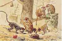 ERBE, ROBERT, *1844 GERA- 1903 OBERLöSSNITZ BEI DRESDEN, AUSGEZEICHNETER TIERMALER, DER.FAST AUSSCHLIEßLICH AQUARELLE MALTE, SCHüLER DER ...