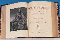 THE HOLY BIBEL, IN ZWEI BäNDEN, MIT VIELEN ILLUSTRATIONEN VON GUSTAVE DORE, CASSEL PETTER & GALPIN, L. STOCKFLECKIG, ERSTEENGLISCHE ...