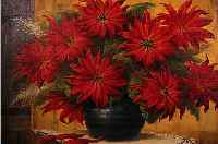 LUDWIG, W., ÖL/LWD., STILLEBEN, RüCKSEITIG BEZ., POINSETTIA, 55 X 80 CM, R.