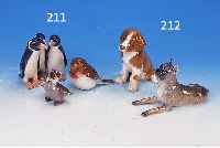 KONVOLUT DREI PORZELLANFIGUREN, BING & GRöNDAHL, 2. HäLFTE 20. JH., PORZELLAN,H. 8-9 CM, VöGEL