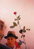 BEUYS, JOSEPH, ROSE FüR DIREKTE DEMOKRATIE, FARBOFFSET, HANDSIGNIERT, CA. 8 X 52,5 CM