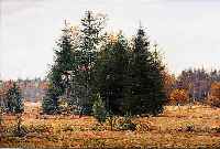PASSIG, BENEDIX, *1864 BERLIN - 1957, BERLINER GENRE-UND LANDSCHAFTSMALER, HIER: HEIDELANDSCHAFT, ÖL/LWD., SIGN., 51 X 65 CM, R.