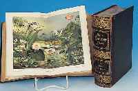 MEYER'S KONVERSATIONSLEXIKON IN 17 BäNDEN, FüNFTE AUFLAGE BIBLIOGR. INSTITUT 1896, MIT ZAHLREICHEN ABB., GOLDGEPRäGTER HALBLEDER- ...