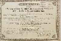AKTIE, CERTIFICAT DER VEREINIGUNG VON BE- SITZERN 6 % BUFFALO PITTSBURG & WESTERN GE- NERAL MORTGAGE BONDS UND BUFFALO NEW-YORK & PHILADELPHIA ...