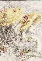 RENOIR, AUGUSTE, 1841-1919, FARBRADIERUNG VON 1894, LE CHAPEAU EPINGLé, WVZ DELTEIL 8/II, CA. 11.5 X 8 CM, PP, U.GL., ...