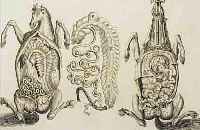 KONVOLUT VON 9 BLATT, MIT KUPFERSTICHEN AUS GEORG ENGELHARD V. LöHEISEN, HOF KRIEGS- UND REITSCHUL NüRNBERG, 1729, MIT PFERDE- ...