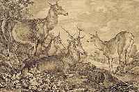 RIDINGER, JOH. ELIAS, VERSCH. WILDTIERE, RESTAURIERTER RIß, CA. 27 X 40 CM, U.GL., R.