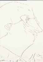 JANSSEN, HORST, RADIERUNG VON 1968, PORTRAIT, HANDSIGN., 24,5 X 18,5 CM, PP, U.GL., R., MIT WIDMUNG FüR MARIE