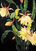UNBEKANNTER MALER UM 1900, STILLEBEN MIT BLüHENDEM KAKTUS, ÖL/LWD, LI. U.UNLESERLICH SIGNIERT, CA. 80 X 50 CM