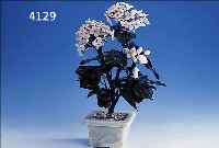 ZIERBAUM MIT BLüTEN, AUS NEPHRIT UND WEIßEM ACHAT, VOLLPLASTISCH GRAVIERT, ZWEIGE AUS DRAHT MIT SEIDE UMWICKELT, H CA. 34 CM