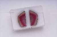 PAAR WASSERMELONEN-TURMALINE, ZUS. CA. 31 CT