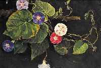 KOCH, HELLA, BERLINER KUNSTLERIN MITTE 20. JH., BLUMENSTILLLEBEN, ÖL/ LWD., SIGN., CA. 60 X 51 CM, R.