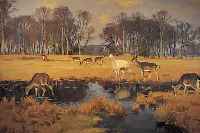 NIELSEN, REINHOLD, *1891 AARHUS, DäNISCHER TIER UND LANDSCHAFTSMALER, STUDIERTE AN DER HOCHSCHULE IN AARHUS UND BESCHICKTE VON 1927- 45 ...