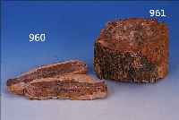 VERSTEINERTES HOLZ, FUNDORT NUBISCHE WüSTE, CA. 320 MIO JAHRE ALT, TEIL EINES BAUM- STAMMES MIT RESTEN DER RINDE UND ERKENNBAREN ...