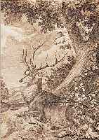 RIDINGER, 18. JH., KUPFERSTICH, HIRSCHDARSTELLUNG MIT BEZEICHNUNG, UNTER GLAS, R., 36,5 X 28 CM