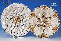 TELLER, MEISSEN, UM 1850-60, PORZELLAN, RELIEFIERT, MATT- UND GLANZVERGOLDET, D. CA. 24 CM