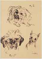 ORLIK, EMIL, 1870-1932, DREI HUNDEKöPFE: PERLE, PURZEL UND FRICKA, RE. U. HANDSIGN., GEBRäUNT, CA. 15 X 11 CM, PP