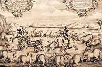 KONVOLUT 4 BLATT, MIT PRACHTVOLLEN PFERDEDARSTELLUNGEN AUS CAVENDISH W. DUKE OF NEWCASTLE NüRNBERG ZIEGLER UND LEHMANN, CA. 1700: 1.) ...