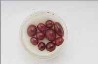 LOT RUBIN-CABOCHONS ZUS. CA. 50.00 CT, VERSCHR. GRößEN UND FORMEN