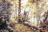 WISNIEWSKI, M., WARSCHAUER MALER, WALD NACH DEM STURM, ÖL/LWD, LI. U. SIGN., CA.50 X 75 CM, R.